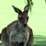 image11