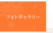 tHgM[
