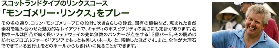 モンゴメリー・リンクスをプレー