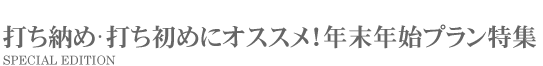 特別プラン案内